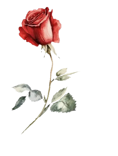 1771778100825.png