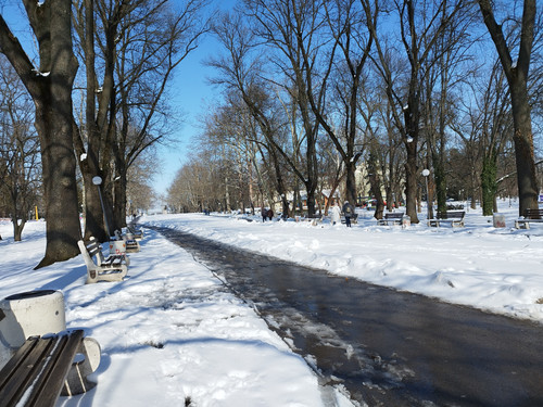 IMG 20260222 133936.jpg