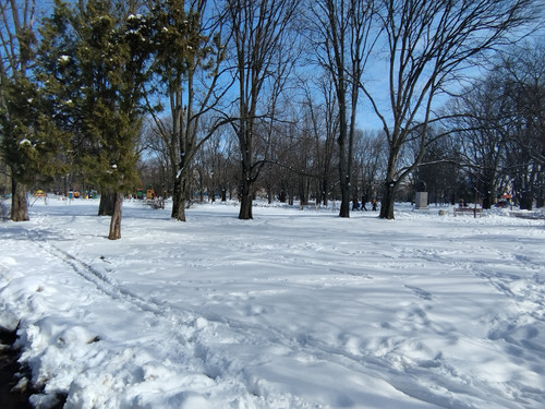 IMG 20260222 132746.jpg