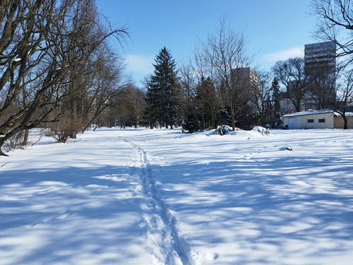IMG 20260222 134843.jpg