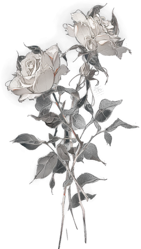 009 (2).png