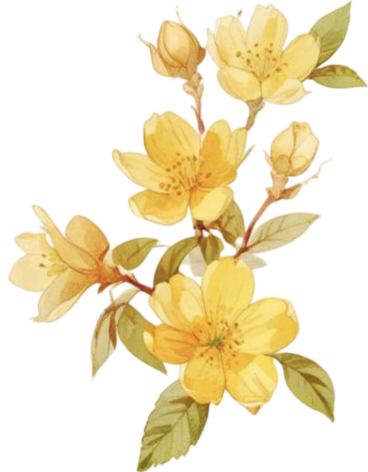 IMG 20260223 015054.png