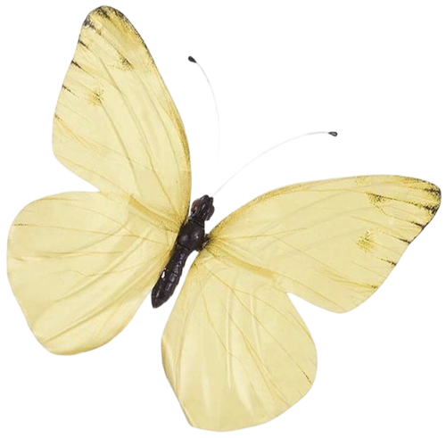 IMG 20260223 012239.png