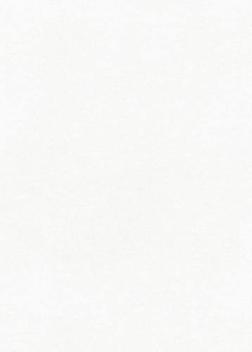 IMG 1975.png