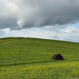 windows xp bliss hill looking almost identical to original v0 qz1zyxnu5ckg1.png