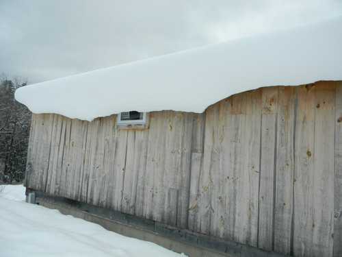 DSCN6304.jpg