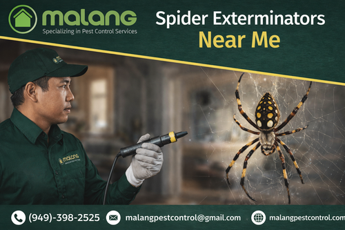 Reliable Spider Exterminators Near Me Malang Pest Control.png