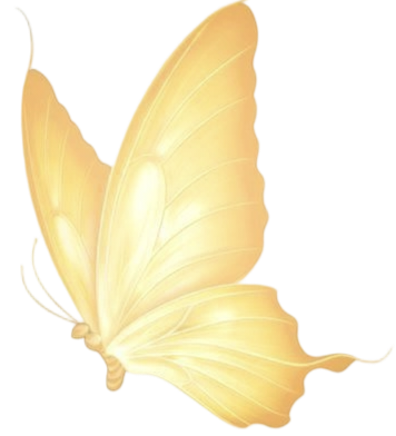 IMG 20260223 013948.png