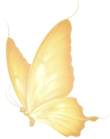 IMG 20260223 013858.png