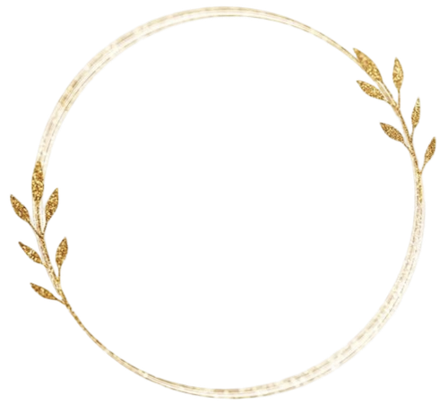 IMG 20260221 113842.png