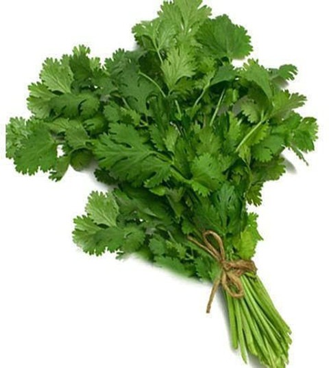 75 coriander dhaniya hybrid vege.jpg