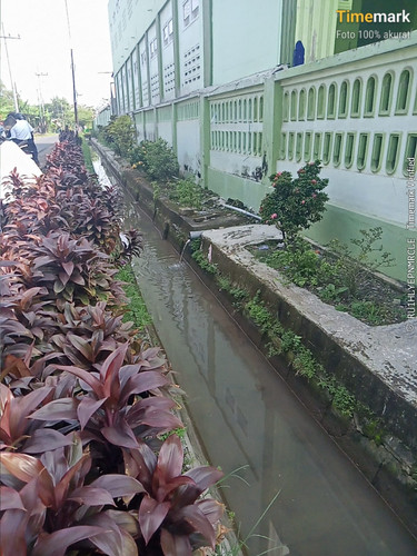 sungai.jpg