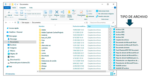 tipo archivo w11a.png