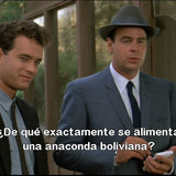 Cap00004