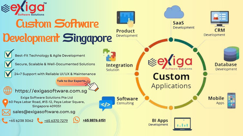 Custom Software Development Singapore.jpg