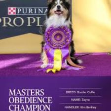 Obedience masters.jpg