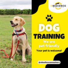 Obedience masters.jpg