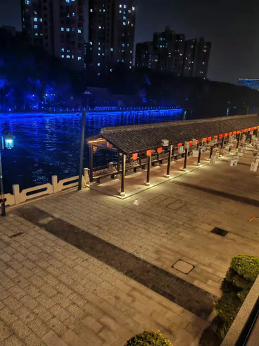 douyin 1771760347582.png