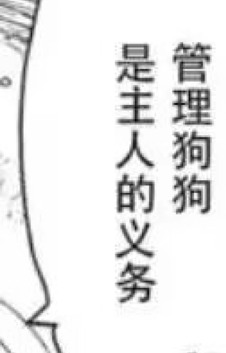 IMG 2413.png