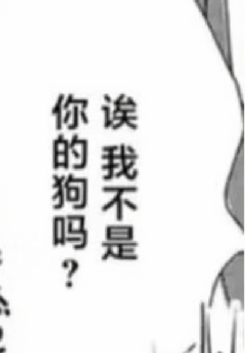IMG 2414.png