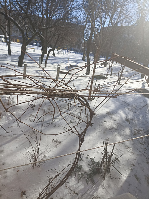 IMG 20260222 133053.jpg