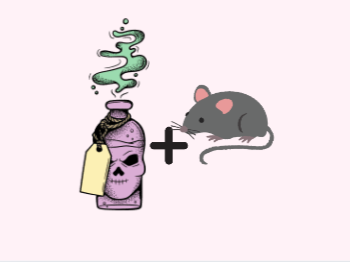 1000116484.png