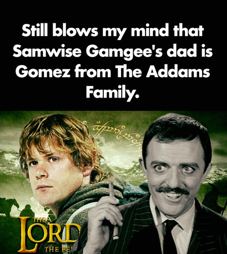 [Image: qFAHWhu.md.jpg]