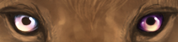 image.2