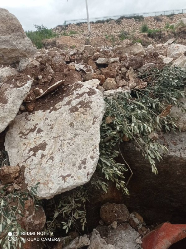 الاحتلال يجرف أرضًا ويقتلع أشجار زيتون منها بمنطقة "خلة القمح" في بلدة "كفر الديك" غرب سلفيت؛ لصالح توسيع مقبرة مستوطنة "بروخين"....