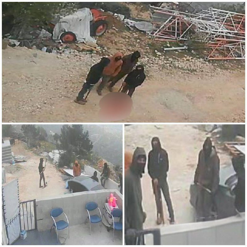 مستوطنون يهاجمون منزلاً ويطلقون الأغنام بمحيطه على أطراف بلدة قصرة جنوب شرق نابلس....