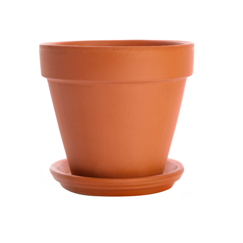 pot.png