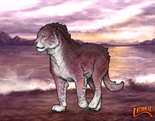 IMG 0581.png