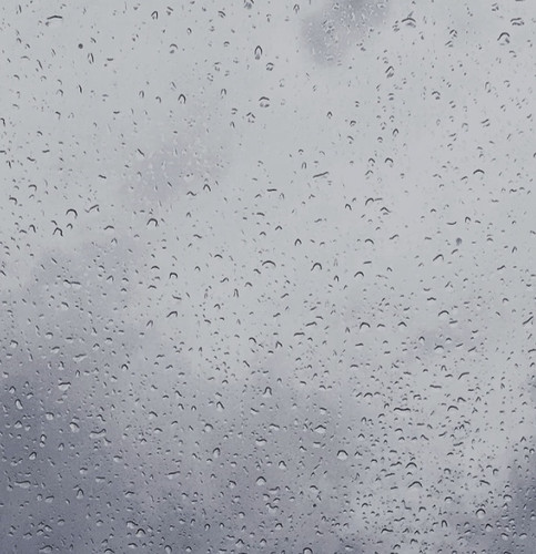 IMG 20260223 030617.jpg