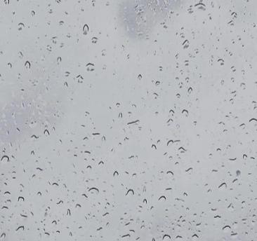 IMG 20260223 030617 edit 1363619163152863.jpg