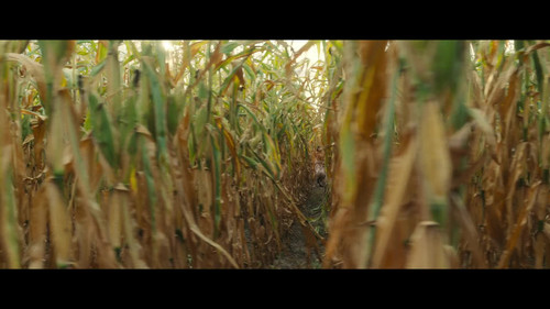 frame2.jpg