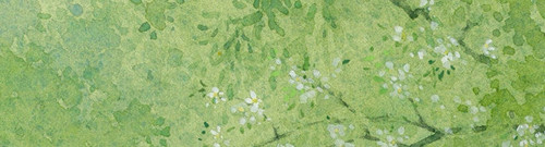 IMG 20260221 163751.jpg