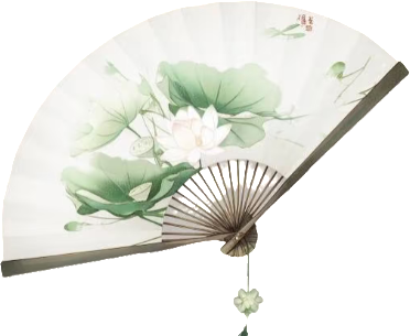 retouch 2026022116294217.png