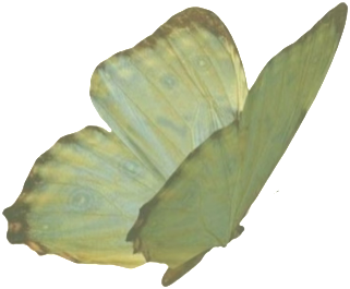 retouch 2026022116450520.png