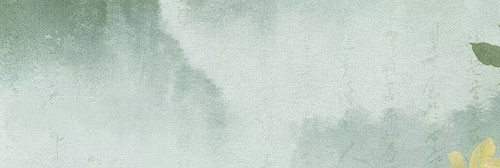 IMG 20260221 163253.jpg