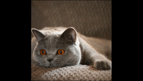 3f96c0c6a744.png