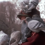 IMG 9950.gif