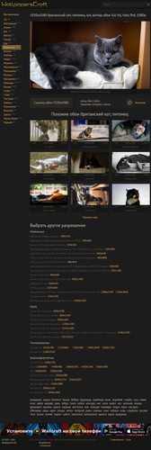 11a386548be4.jpg