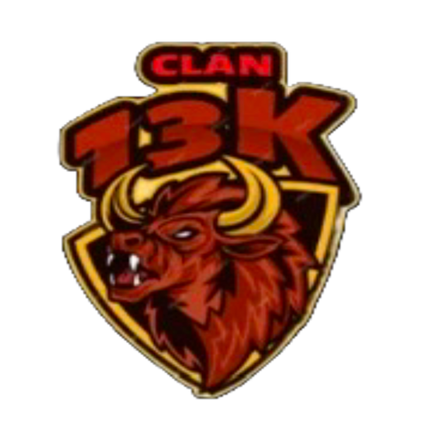 13k. resized 1000x1000.png