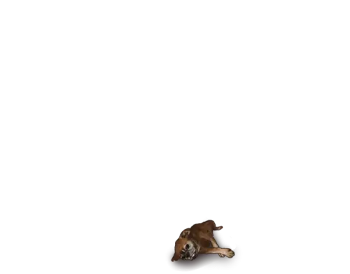 Untitled581 20260222145916.webp