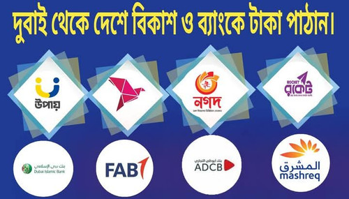 media 3065944716.jpg