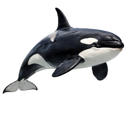 orca.png