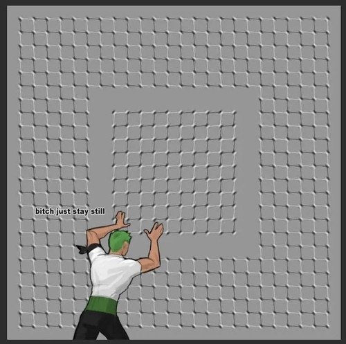 1000083476.jpg