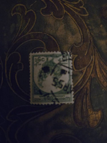 8f8f3abc95db.jpg