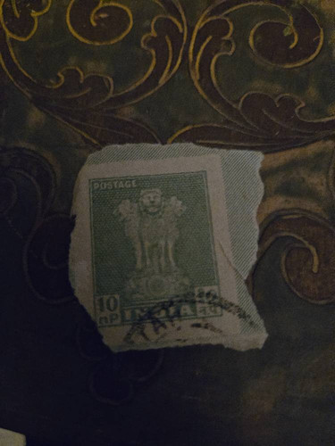 ddcf2137262f.jpg