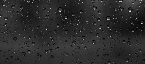 IMG 20260223 161926.jpg